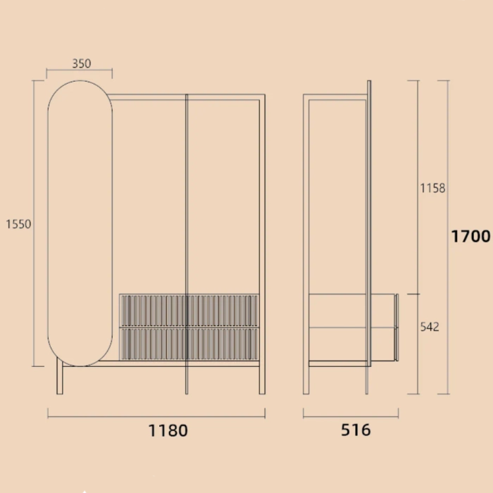 Arpan Decorative Mirror Clothes rack with Cabinets