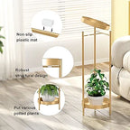 Metal Flower Pots Stand Plant Shelf for Multiple Plants,2 Tier