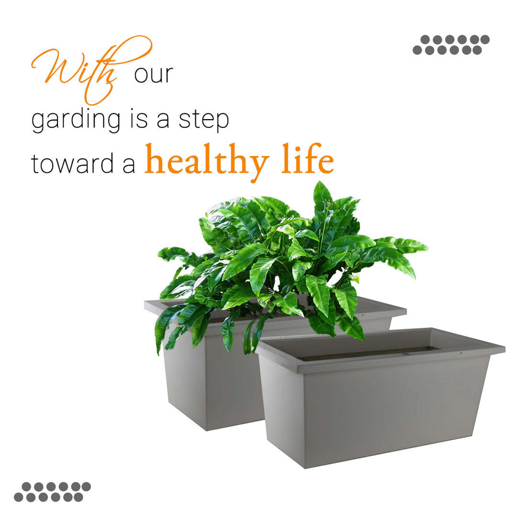 Light Gray Modern Rectangle Planter