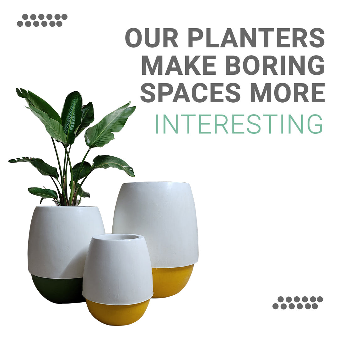 Modern Two-Tone Indoor Planters – Small, Medium & Large Sizes