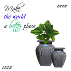 The Beauty of Green Living (Standard/Descriptive)